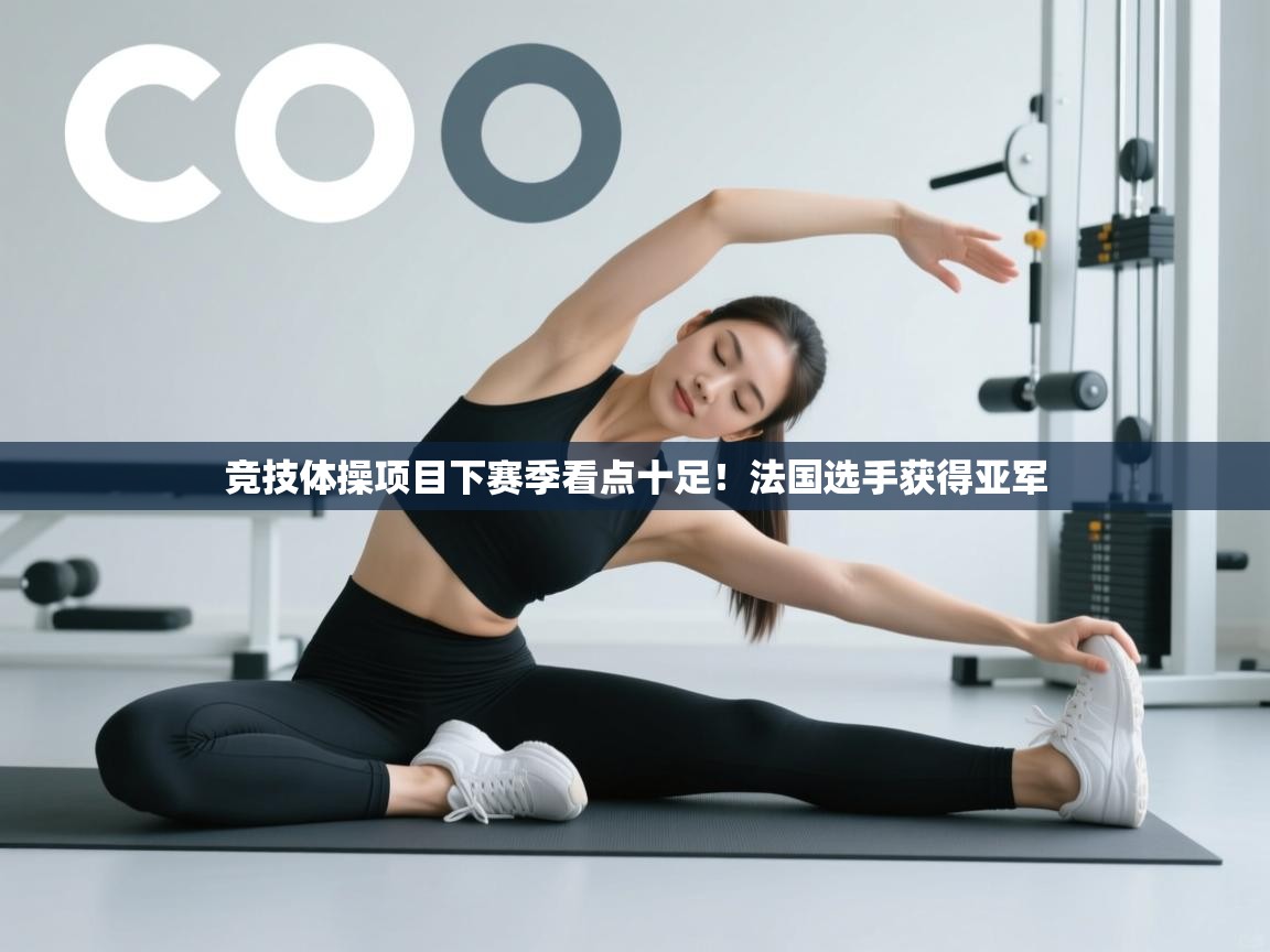 竞技体操项目下赛季看点十足!法国选手获得亚军 第2张