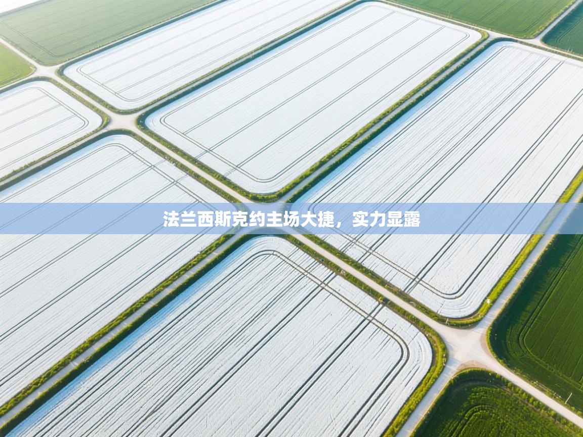 法兰西斯克约主场大捷,实力显露 第2张